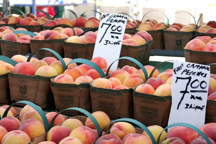 Growing Passion for Local Produce: How Millennials, Gen Z, and Families Are Embracing Fresh, Sustainable, and Community-Driven Food